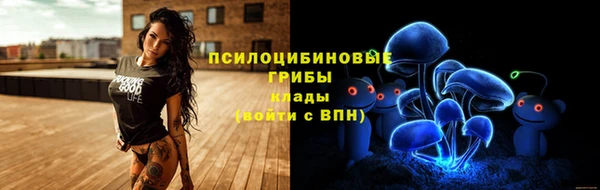 альфа пвп Медвежьегорск