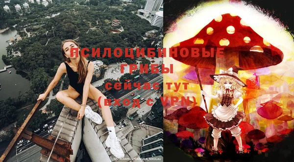 мдпв Инта