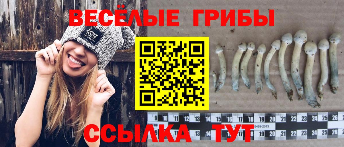 Галлюциногенные грибы Magic Shrooms  Вход с VPN  Обнинск 