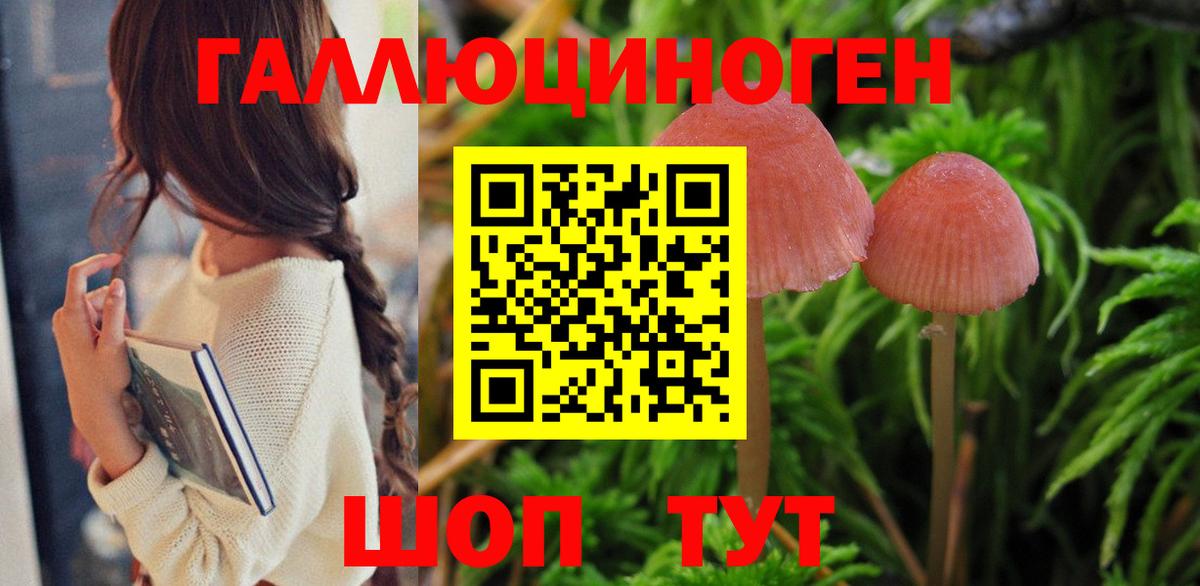 Галлюциногенные грибы GOLDEN TEACHER Обнинск